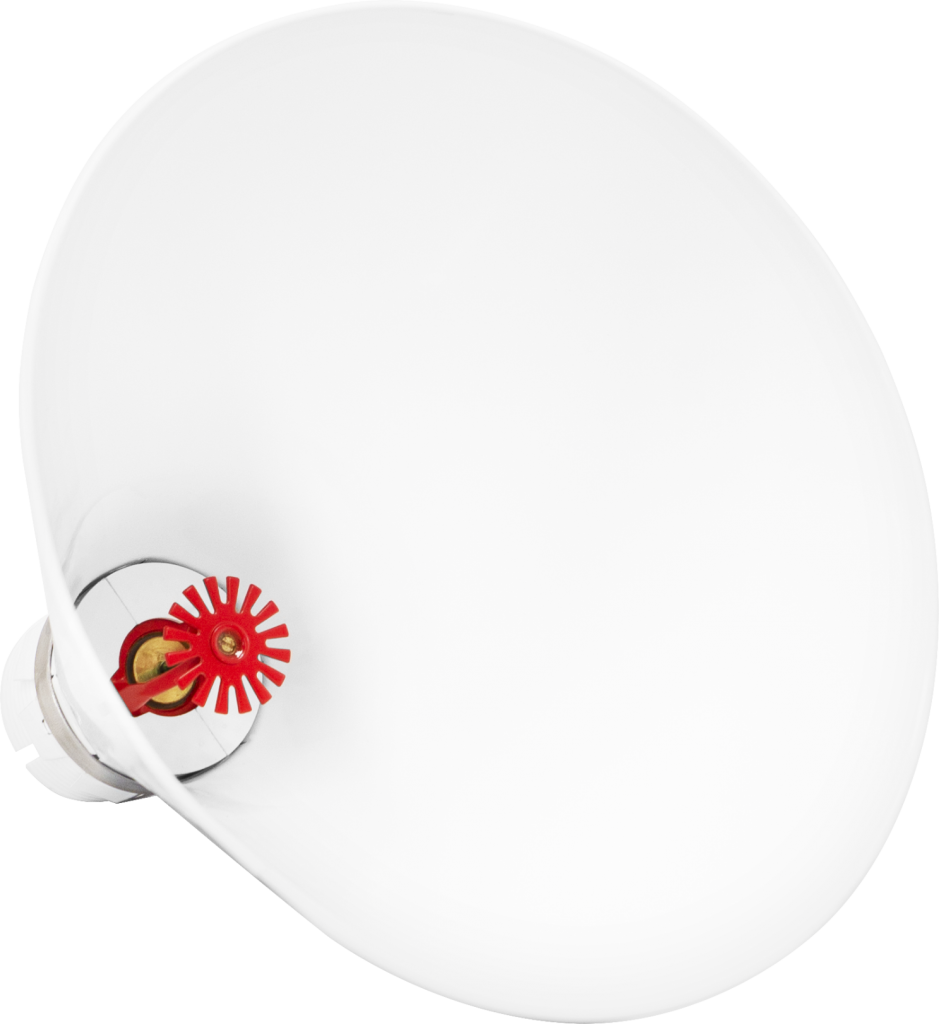 FP-w.png FP-w.png